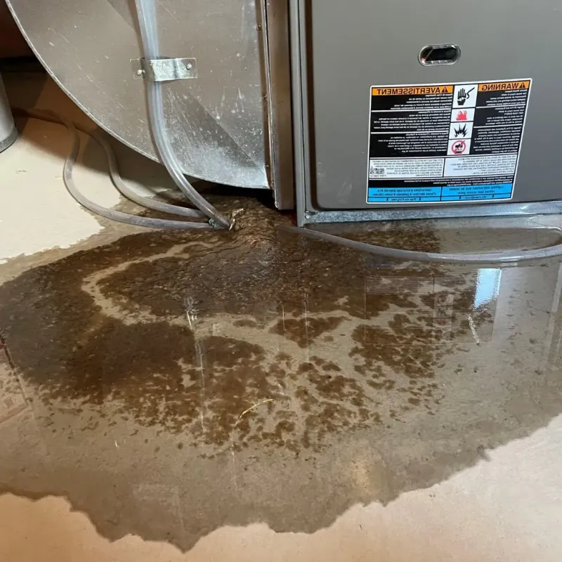 Pipe Burst and Leak Restoration in Fritz Creek, AK